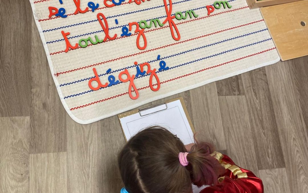 Février chez les Petits Plus